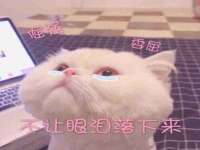 佛山市洪瑞包装制品有限公司