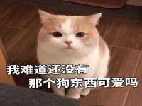 佛山市洪瑞包装制品有限公司