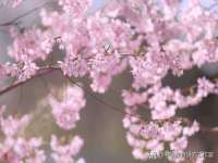 佛山市洪瑞包装制品有限公司