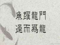 佛山市洪瑞包装制品有限公司