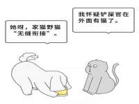 佛山市洪瑞包装制品有限公司