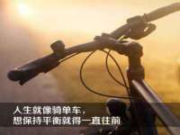 佛山市洪瑞包装制品有限公司