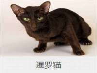 佛山市洪瑞包装制品有限公司