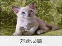 佛山市洪瑞包装制品有限公司