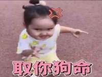 佛山市洪瑞包装制品有限公司
