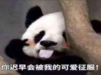 佛山市洪瑞包装制品有限公司