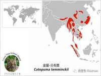 佛山市洪瑞包装制品有限公司