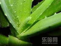 佛山市洪瑞包装制品有限公司