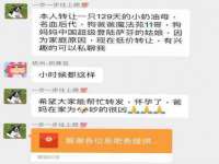 佛山市洪瑞包装制品有限公司