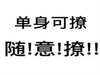 佛山市洪瑞包装制品有限公司