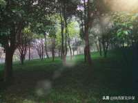 佛山市洪瑞包装制品有限公司