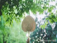 佛山市洪瑞包装制品有限公司
