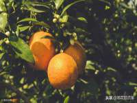 佛山市洪瑞包装制品有限公司