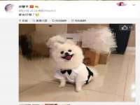 佛山市洪瑞包装制品有限公司