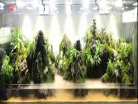佛山市洪瑞包装制品有限公司