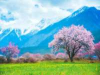 佛山市洪瑞包装制品有限公司