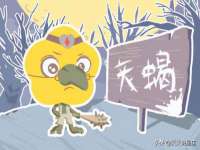 佛山市洪瑞包装制品有限公司