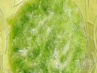 佛山市洪瑞包装制品有限公司