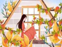 佛山市洪瑞包装制品有限公司