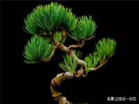 佛山市洪瑞包装制品有限公司