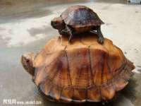 佛山市洪瑞包装制品有限公司