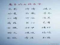 佛山市洪瑞包装制品有限公司