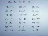 佛山市洪瑞包装制品有限公司